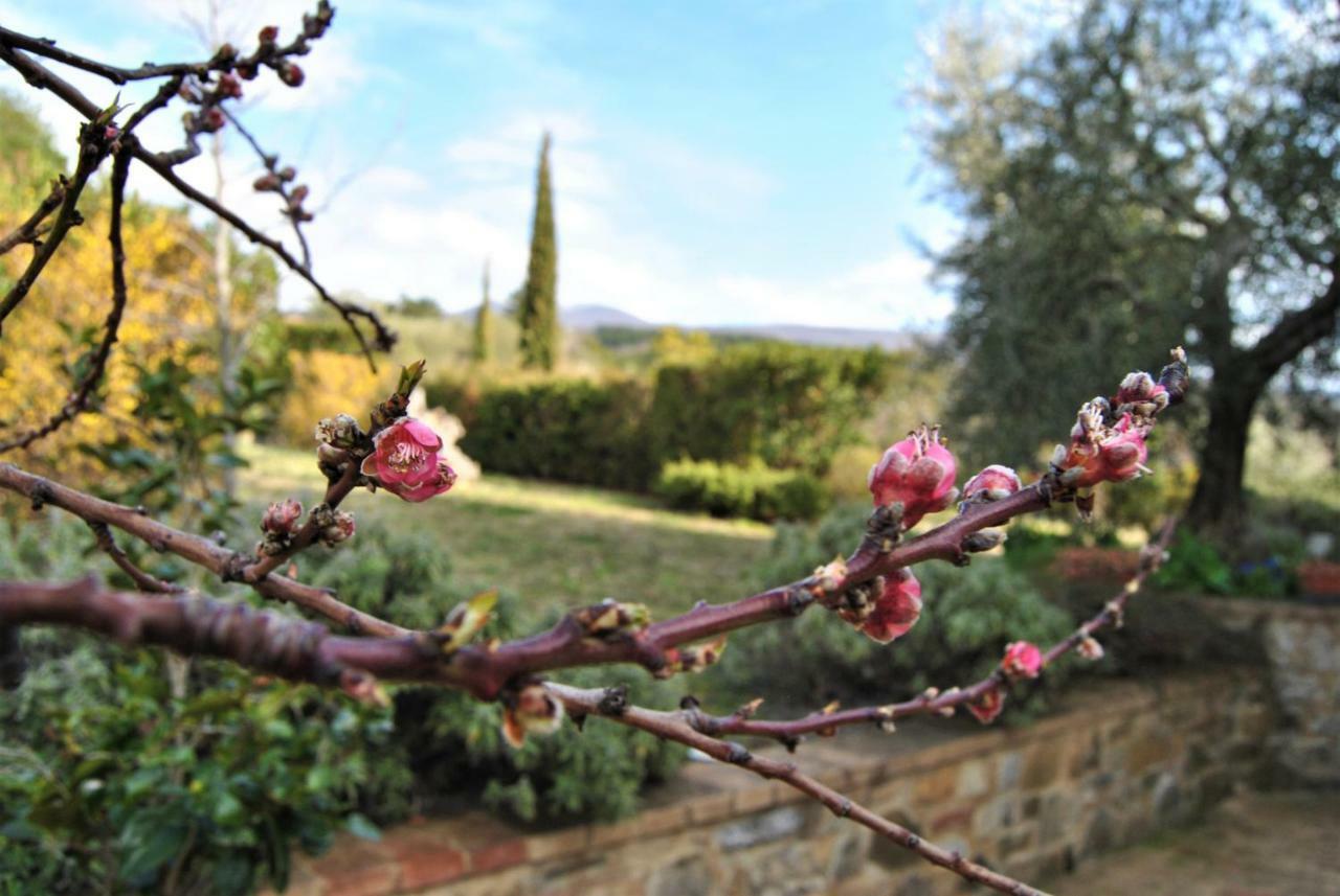 Casa Fioranna Villa Seggiano Exterior foto